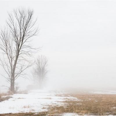 乐发彩票APP下载手机app下载